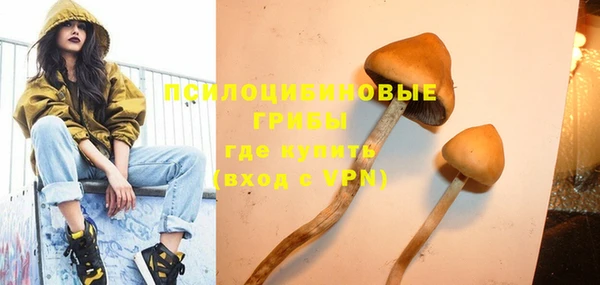 apvp Алзамай