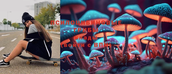 МДПВ Алексеевка