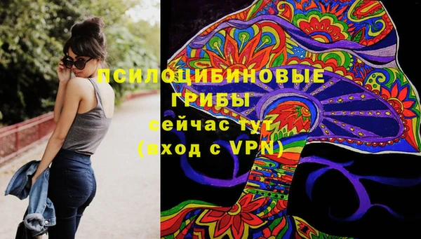 прущая мука Алексин