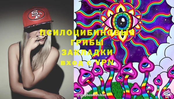 apvp Алзамай