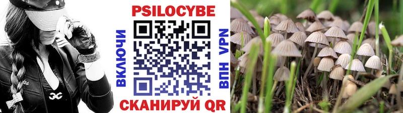 omg рабочий сайт  купить наркотики цена  Суровикино  Галлюциногенные грибы Psilocybine cubensis 