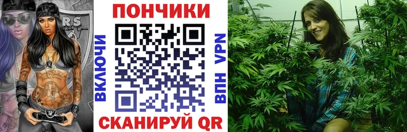 Бошки Шишки планчик  где можно купить наркотик  Суровикино 
